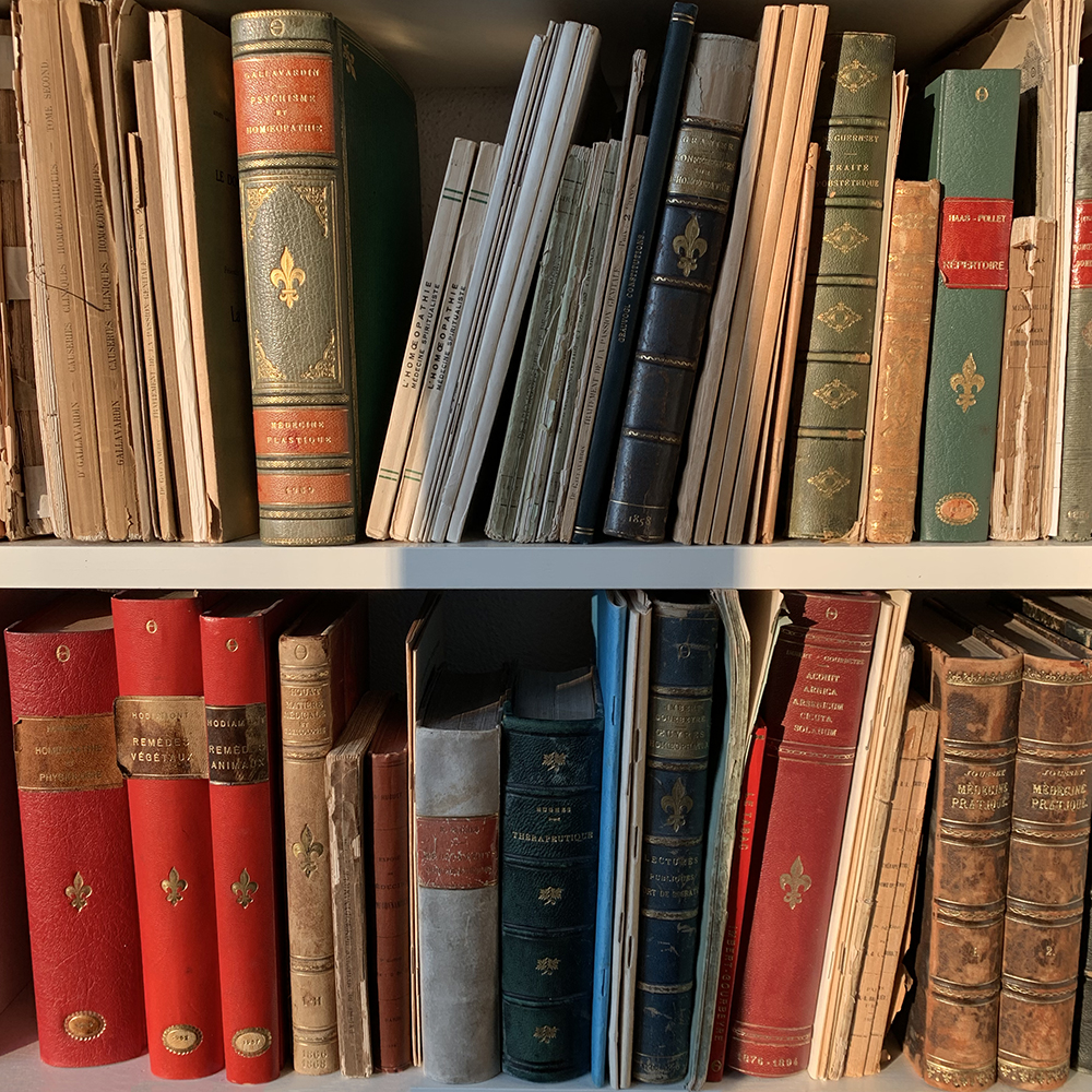 Weiter und Fortbildungsveranstaltungen SVHA